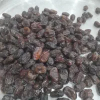 خرما|خوردنی و آشامیدنی|تهران, دروازه شمیران|دیوار