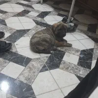 بهترین جنس سراب