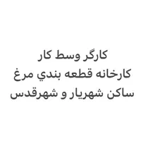 کارگر اقا با قدرت بدنی خوب