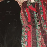 پالتوزنانه