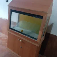 آکواریوم|ماهیگیری|اردبیل, |دیوار