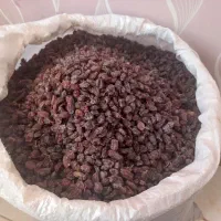 کشمش آفتابی