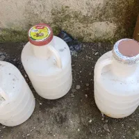 دبه خیار شور