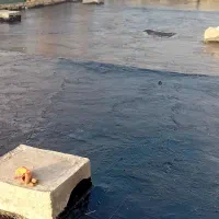 گچ کاری دیوارچینی|خدمات پیشه و مهارت|خمین, |دیوار