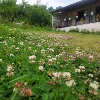 فروش زمین به مساحت ۵۲۰ متر