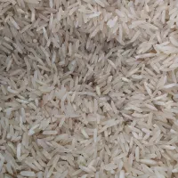 فروش برنج فجر