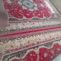 یک جفت فرش لاکی یک جفت کرمی|فرش|فسا, |دیوار