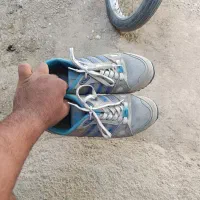 کفش|کیف، کفش، کمربند|کازرون, |دیوار