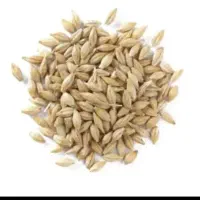 جودولتی روس تمیز