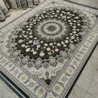 فرشو از تولیدی بخر|فرش|تربتحیدریه, بالا ولایت|دیوار