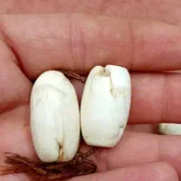 مهره فروش|جواهرات|کارون, |دیوار