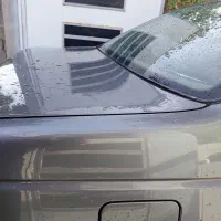 405دلفینی|خودرو سواری و وانت|جیرفت, |دیوار