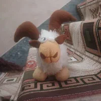 اسباب بازی|اسباب‌بازی بچه|قم, شهرک فاطمیه|دیوار