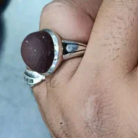 هبهاب مغربی