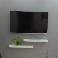 شلف دورینو