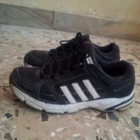 اکومنت 10 zx