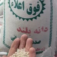برنج شیرودی دانه بلند