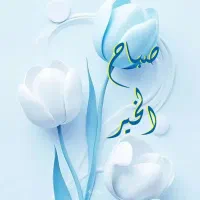 پول گم شده