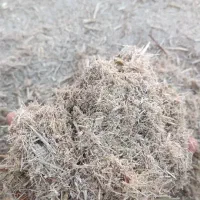 فروش پاگاس ، توفاله نیشکر