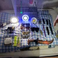 لوازم ماهی گیری