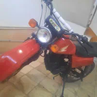 تریل اکسل ۲۵۰ وحشی