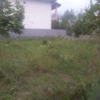 ۲۰۰ متر/نیرنگ/قیمت کل ۳۱۰۰|فروش زمین و ملک کلنگی|نوشهر, |دیوار