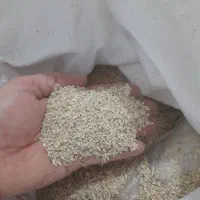 برنج عنبر بو|خوردنی و آشامیدنی|اهواز, گلدشت|دیوار