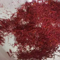 زعفرات تازه  اصل