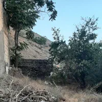 ۷۵ زمین در محله سیاهکلان|فروش زمین و ملک کلنگی|کرج, محمود آباد|دیوار