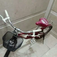 دوچرخه سالم