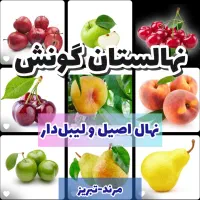 نهال اصیل و لیبل دار