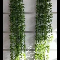 آویز شمشاد ۱۶ شاخه(گالری کوروش)