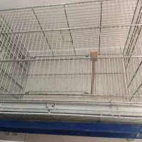 قفس حرفه ای