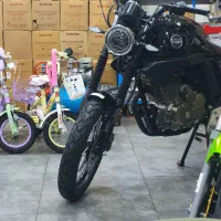 زونتس 230 جدید