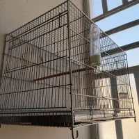 قفس|لوازم جانبی حیوانات|شیراز, میانرود|دیوار