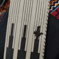 کیف پول دستی طرح چوقا خاص