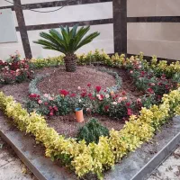 خدمات باغبانی گل کاری هرس کاری تعویض خاکگدان،،..