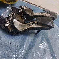 کفش مجلسی|کیف، کفش، کمربند|نکا, |دیوار