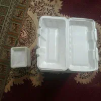 ظرف یکبارمصرف