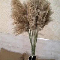 گل و گلدان|گل مصنوعی|شیراز, کوشک میدان|دیوار