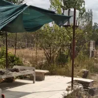 باغ پشت شهمیرزاد منطقه آسوران|فروش زمین و ملک کلنگی|شهمیرزاد, |دیوار