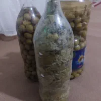 ترشی الوچه و برگ مو