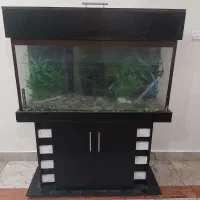 اکواریوم