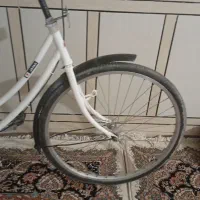 دوچرخه درجه یک|دوچرخه، اسکیت، اسکوتر|سوسنگرد, |دیوار