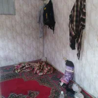 اجاره کانکس 4*2.5