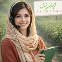 نهال گیلاس و هلو وگردو و سیب،بادام،گلابی