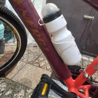 دوچرخه حرفه ای ویوا|دوچرخه، اسکیت، اسکوتر|ری, علایین|دیوار