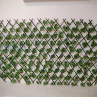 آکاردئون برگی