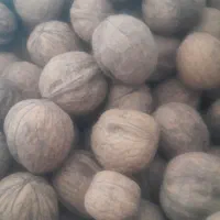 گردو کیلو ۹۰۰