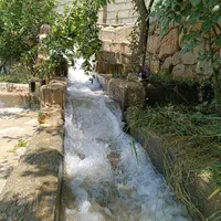 اجاره سوئیت و باغ استخر دار سربست سپیدان|اجارهٔ کوتاه‌مدت ویلا و باغ|شیراز, شهرک گلستان شمالی|دیوار